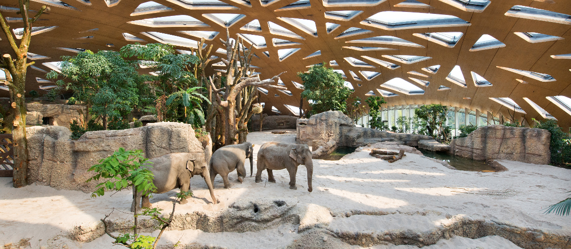 Dehnungsverlauf in Schalenkonstruktion, Elefantenpark Zoo Zürich (CH)
