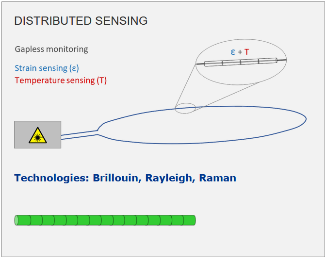 Marmota Distributed Sensing Brillouin Rayleigh Raman