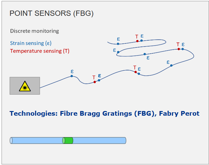 Marmota Point Sensing FBG